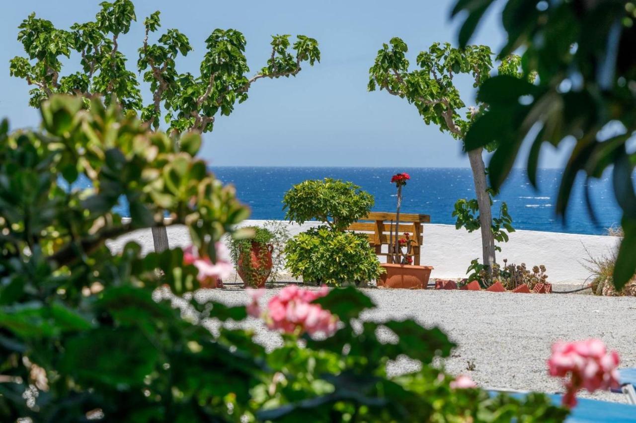 Creta Sun モコロス エクステリア 写真